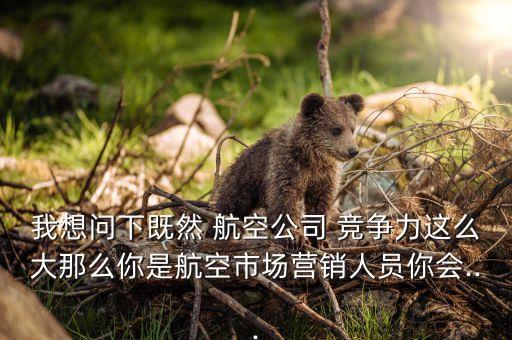 我想問(wèn)下既然 航空公司 競(jìng)爭(zhēng)力這么大那么你是航空市場(chǎng)營(yíng)銷人員你會(huì)...