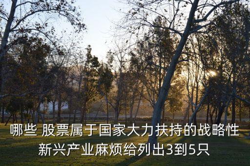 哪些 股票屬于國(guó)家大力扶持的戰(zhàn)略性新興產(chǎn)業(yè)麻煩給列出3到5只