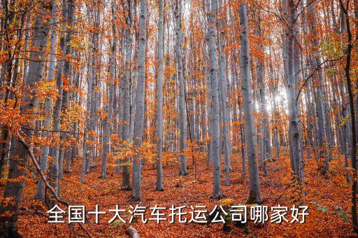 全國十大汽車托運(yùn)公司哪家好