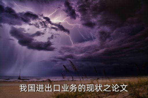 我國進出口業(yè)務(wù)的現(xiàn)狀之論文