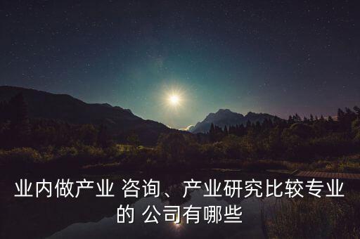 業(yè)內(nèi)做產(chǎn)業(yè) 咨詢、產(chǎn)業(yè)研究比較專業(yè)的 公司有哪些