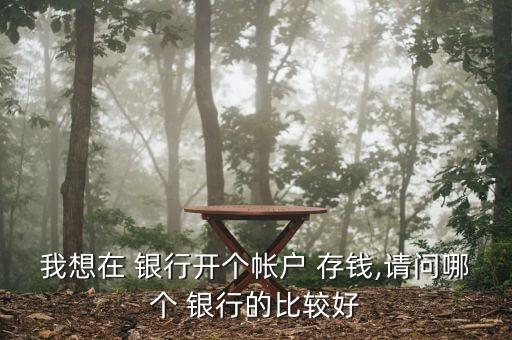 我想在 銀行開(kāi)個(gè)帳戶(hù) 存錢(qián),請(qǐng)問(wèn)哪個(gè) 銀行的比較好
