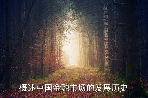 概述中國(guó)金融市場(chǎng)的發(fā)展歷史