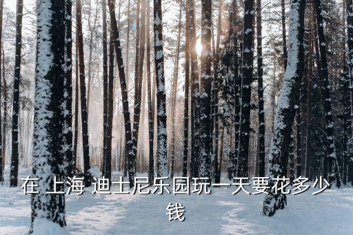 在 上海 迪士尼樂(lè)園玩一天要花多少錢(qián)