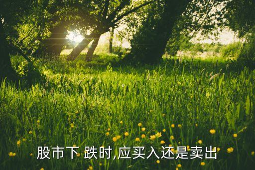 股市下 跌時,應(yīng)買入還是賣出