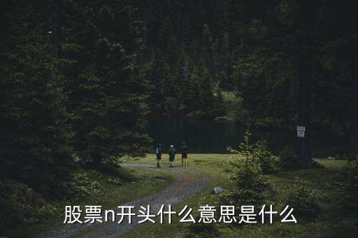  股票n開(kāi)頭什么意思是什么