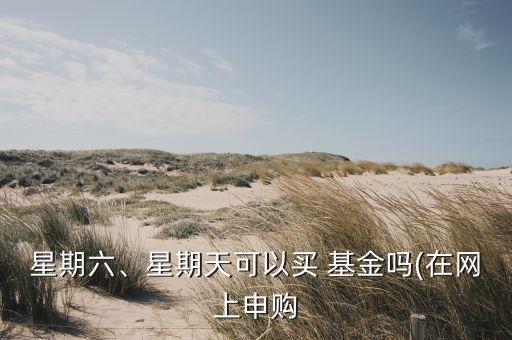 星期六、星期天可以買 基金嗎(在網(wǎng)上申購
