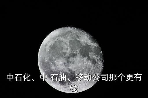 中石化、中 石油、移動公司那個更有錢