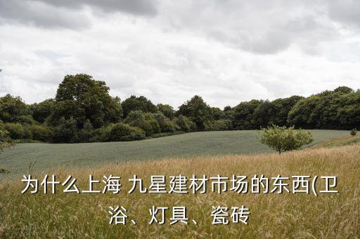 為什么上海 九星建材市場的東西(衛(wèi)浴、燈具、瓷磚