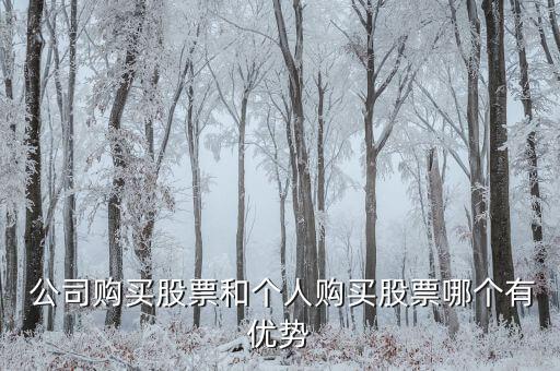  公司購買股票和個(gè)人購買股票哪個(gè)有優(yōu)勢(shì)