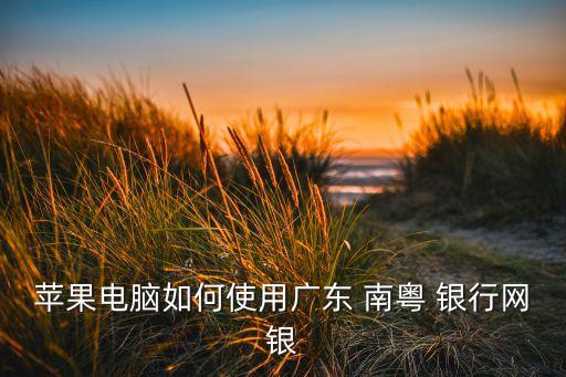 蘋(píng)果電腦如何使用廣東 南粵 銀行網(wǎng)銀