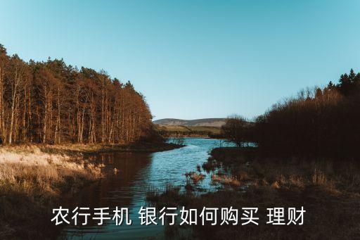 農(nóng)行手機(jī) 銀行如何購(gòu)買 理財(cái)