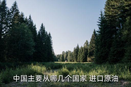 中國主要從哪幾個國家 進口原油