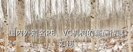 國(guó)內(nèi)外知名PE、VC機(jī)構(gòu)的薪酬待遇如何