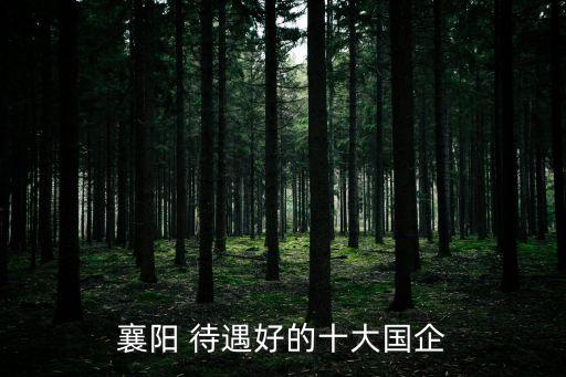 襄陽(yáng) 待遇好的十大國(guó)企