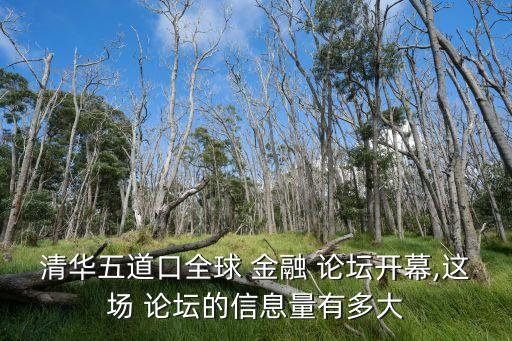 清華五道口全球 金融 論壇開(kāi)幕,這場(chǎng) 論壇的信息量有多大