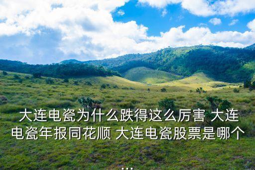 大連昊?？萍脊煞萦邢薰?大連華陽(yáng)新材料科技股份有限公司