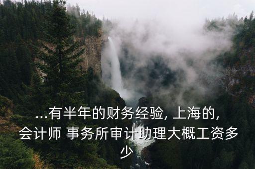 上海思倍捷會計師事務(wù)所怎么樣