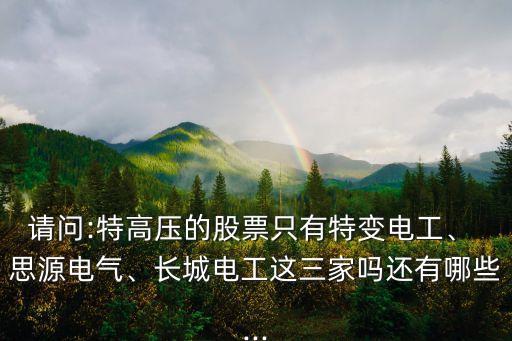 請(qǐng)問(wèn):特高壓的股票只有特變電工、 思源電氣、長(zhǎng)城電工這三家嗎還有哪些...