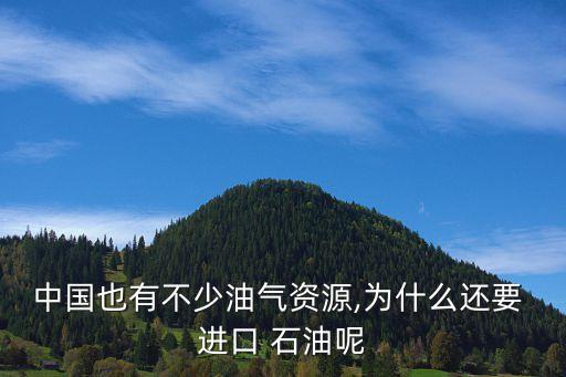 中國也有不少油氣資源,為什么還要 進口 石油呢