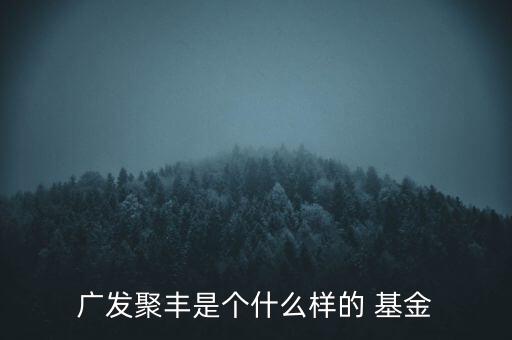 廣發(fā)聚豐是個(gè)什么樣的 基金