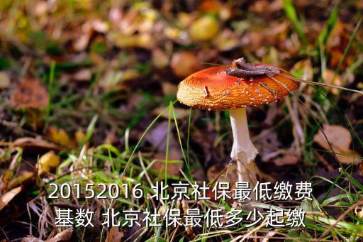 20152016 北京社保最低繳費基數 北京社保最低多少起繳