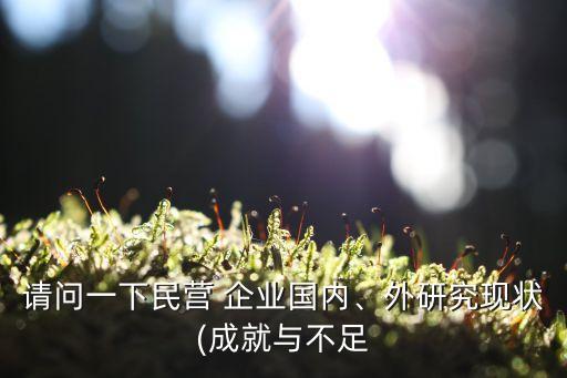 請問一下民營 企業(yè)國內(nèi)、外研究現(xiàn)狀(成就與不足