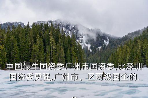 中國最牛國資委廣州市國資委,比深圳國資委更強(qiáng),廣州市、區(qū)兩級國企的...