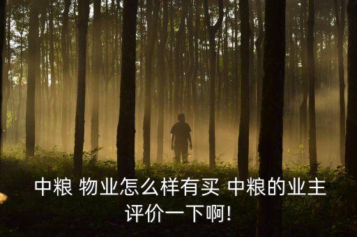  中糧 物業(yè)怎么樣有買(mǎi) 中糧的業(yè)主評(píng)價(jià)一下啊!