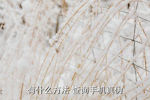 中國工信部手機(jī)查詢,工信部入網(wǎng)手機(jī)查詢?cè)敿?xì)參數(shù)