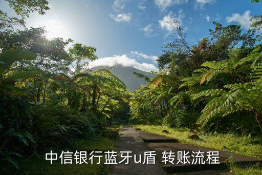 手機中信銀行怎么轉賬