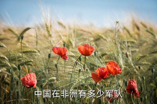 中國在非洲有多少軍隊(duì)