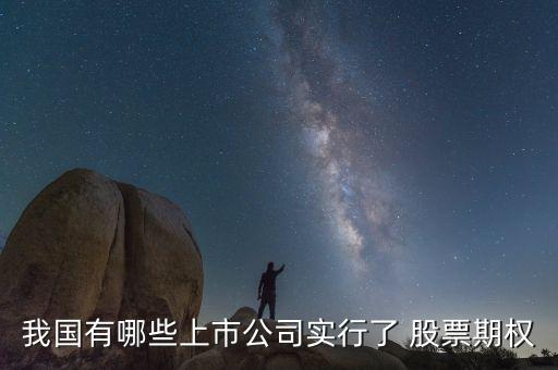 我國有哪些上市公司實(shí)行了 股票期權(quán)