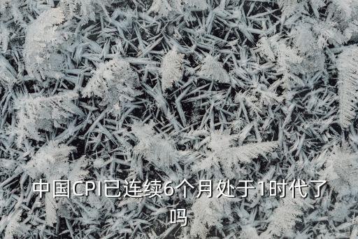 中國CPI已連續(xù)6個月處于1時代了嗎
