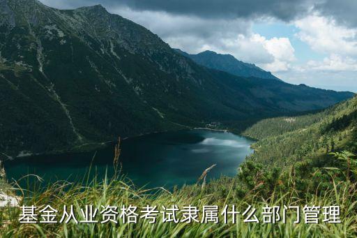 基金同業(yè)協(xié)會(huì),同業(yè)存單基金怎么樣