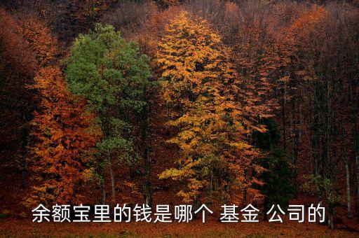 余額寶里的錢是哪個 基金 公司的
