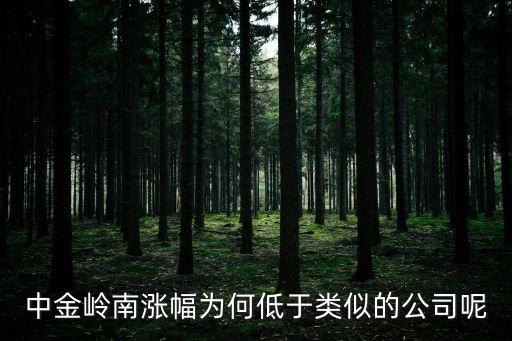 中金嶺南漲幅為何低于類(lèi)似的公司呢