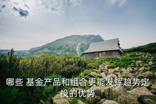 華安現金富利投資基金
