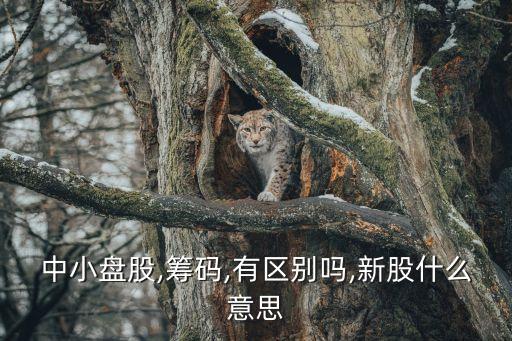中小盤(pán)股,籌碼,有區(qū)別嗎,新股什么意思