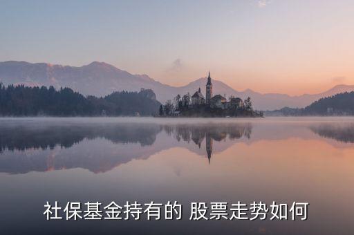 新都化工股票發(fā)行價(jià)