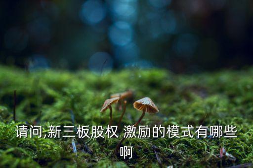 請問,新三板股權(quán) 激勵的模式有哪些啊