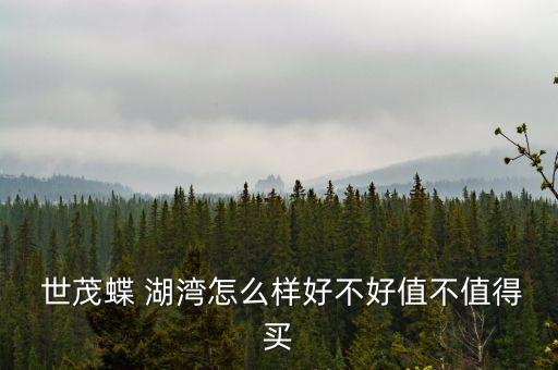 世茂蝶湖灣開發(fā)建設有限公司