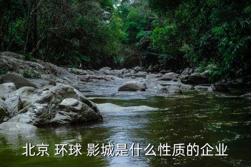 北京 環(huán)球 影城是什么性質(zhì)的企業(yè)