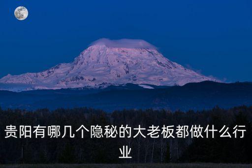金世旗國際控股股份有限公司簡(jiǎn)介,環(huán)比增減 金世旗國際控股股份有限公司