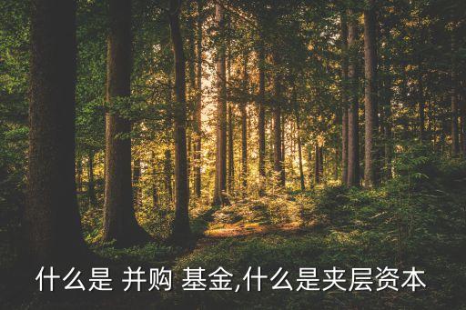 什么是 并購 基金,什么是夾層資本