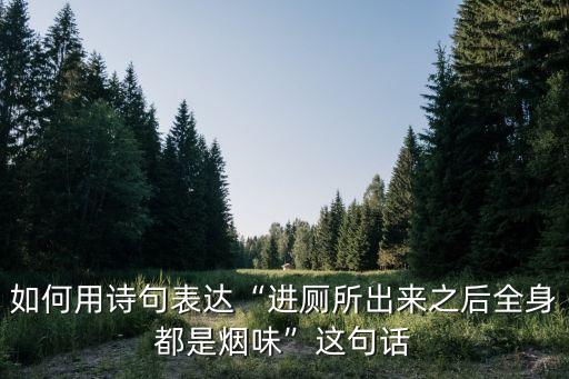 如何用詩(shī)句表達(dá)“進(jìn)廁所出來(lái)之后全身都是煙味”這句話