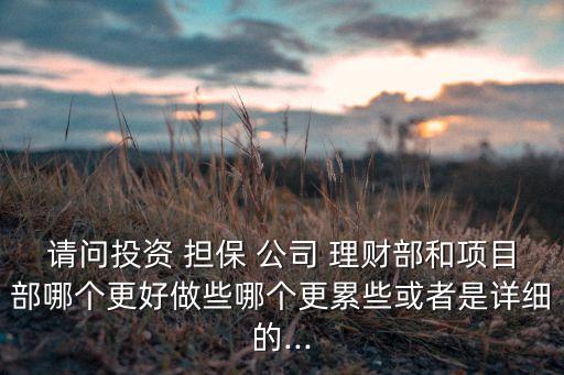 請問投資 擔(dān)保 公司 理財(cái)部和項(xiàng)目部哪個更好做些哪個更累些或者是詳細(xì)的...