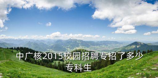  中廣核2015校園招聘專招了多少?？粕? class=