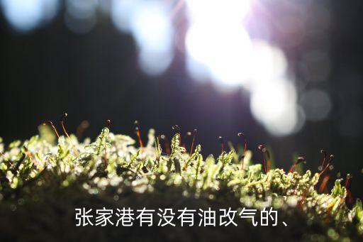 張家港有沒有油改氣的、