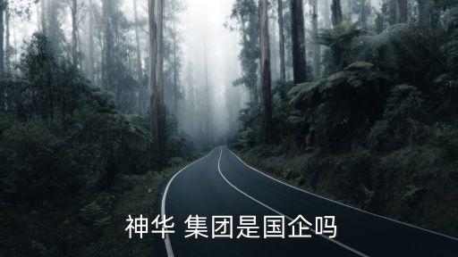 中國神華集團準格爾能源有限責(zé)任公司,包頭能源有限責(zé)任公司屬于神華集團嗎